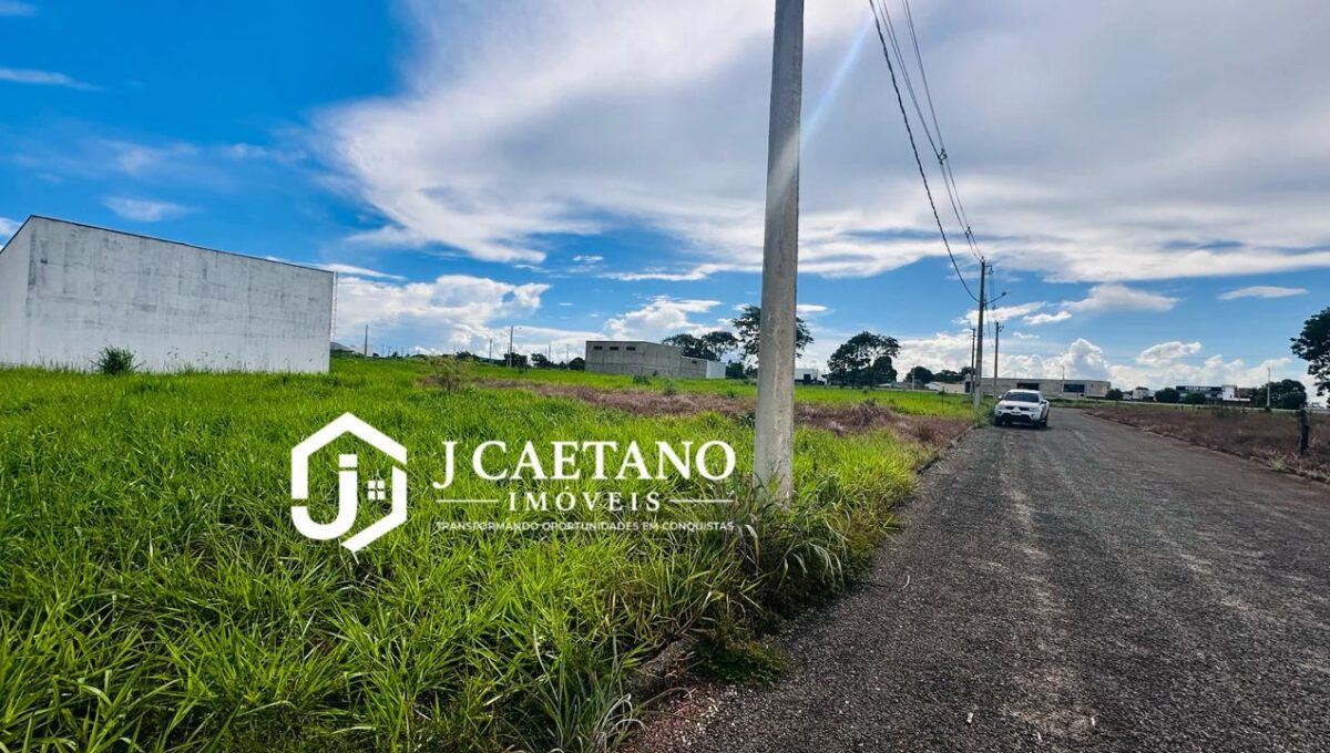 WhatsApp Image 2026-01-29 at 17.43.04