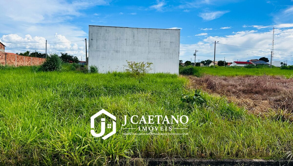 WhatsApp Image 2026-01-29 at 17.43.05