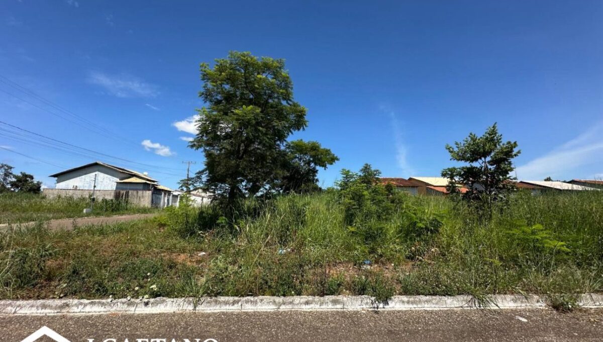 WhatsApp Image 2026-02-02 at 22.24.43 (1)