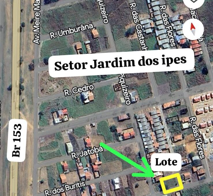 WhatsApp Image 2026-02-02 at 22.24.43 (2)