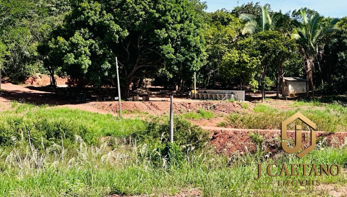 WhatsApp Image 2026-02-06 at 12.58.23