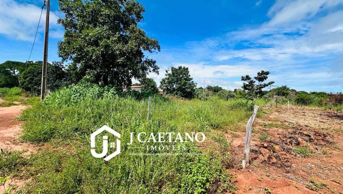 WhatsApp Image 2026-02-06 at 17.00.20