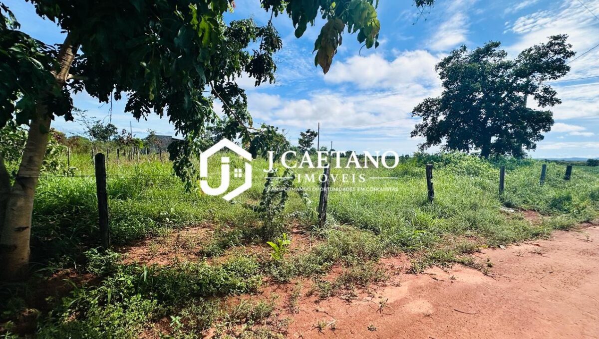 WhatsApp Image 2026-02-06 at 17.00.21