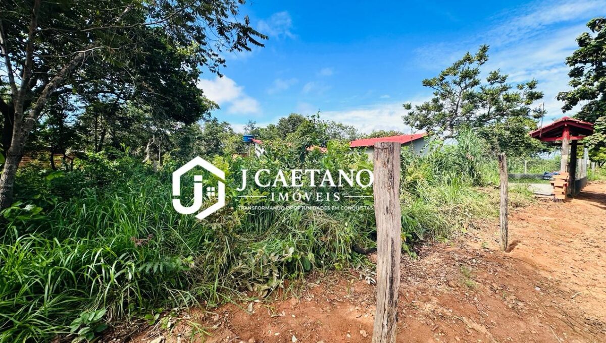 WhatsApp Image 2026-02-06 at 18.58.17