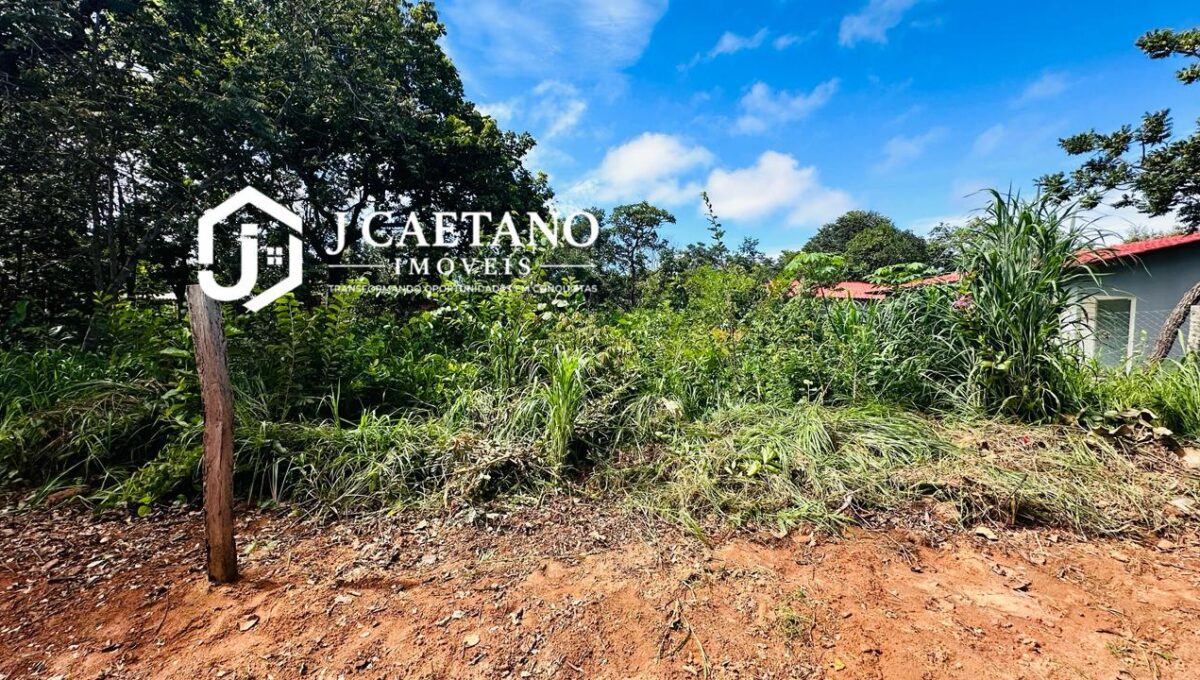 WhatsApp Image 2026-02-06 at 18.58.18