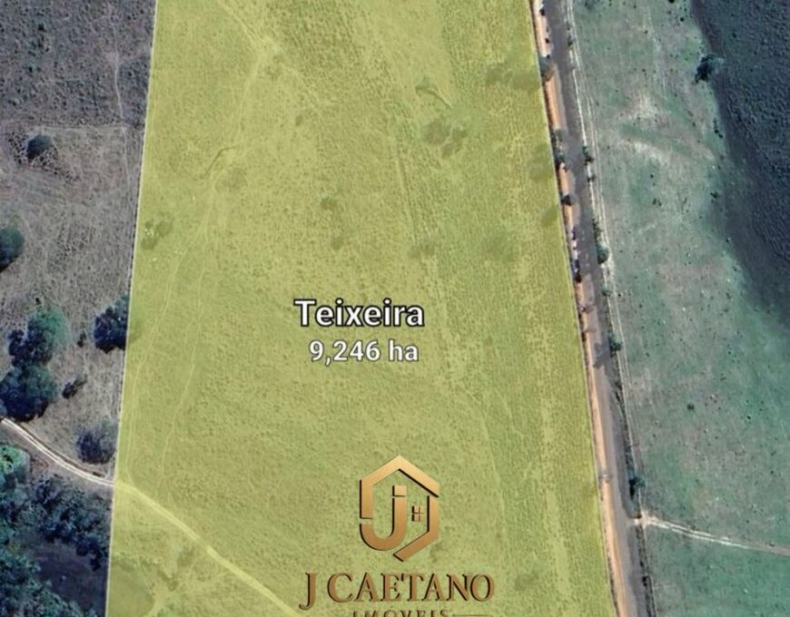 WhatsApp Image 2026-02-09 at 11.34.48