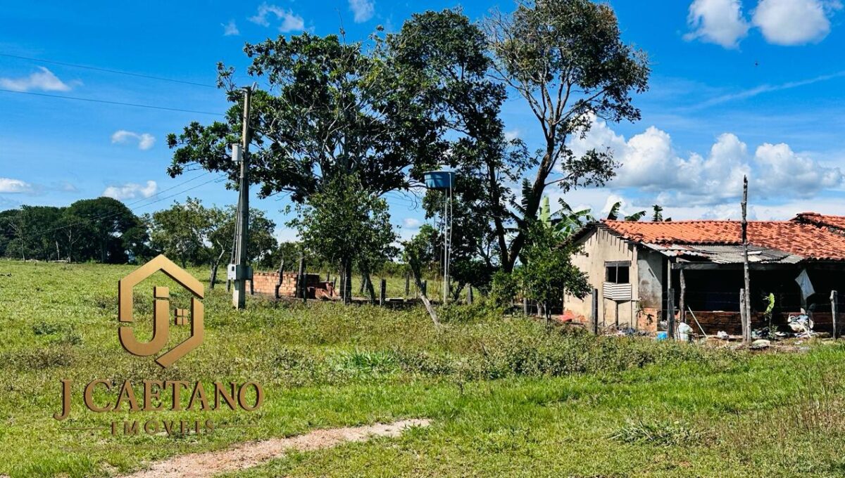 WhatsApp Image 2026-02-09 at 11.34.49 (1)