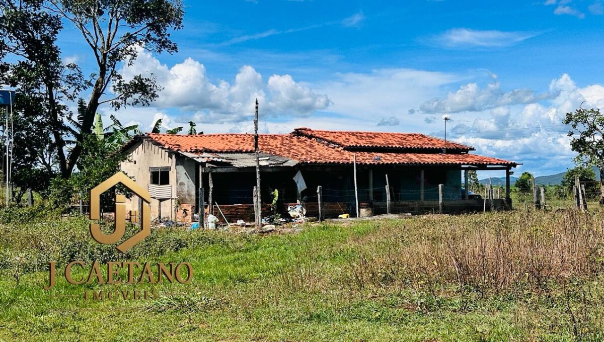 WhatsApp Image 2026-02-09 at 11.34.49