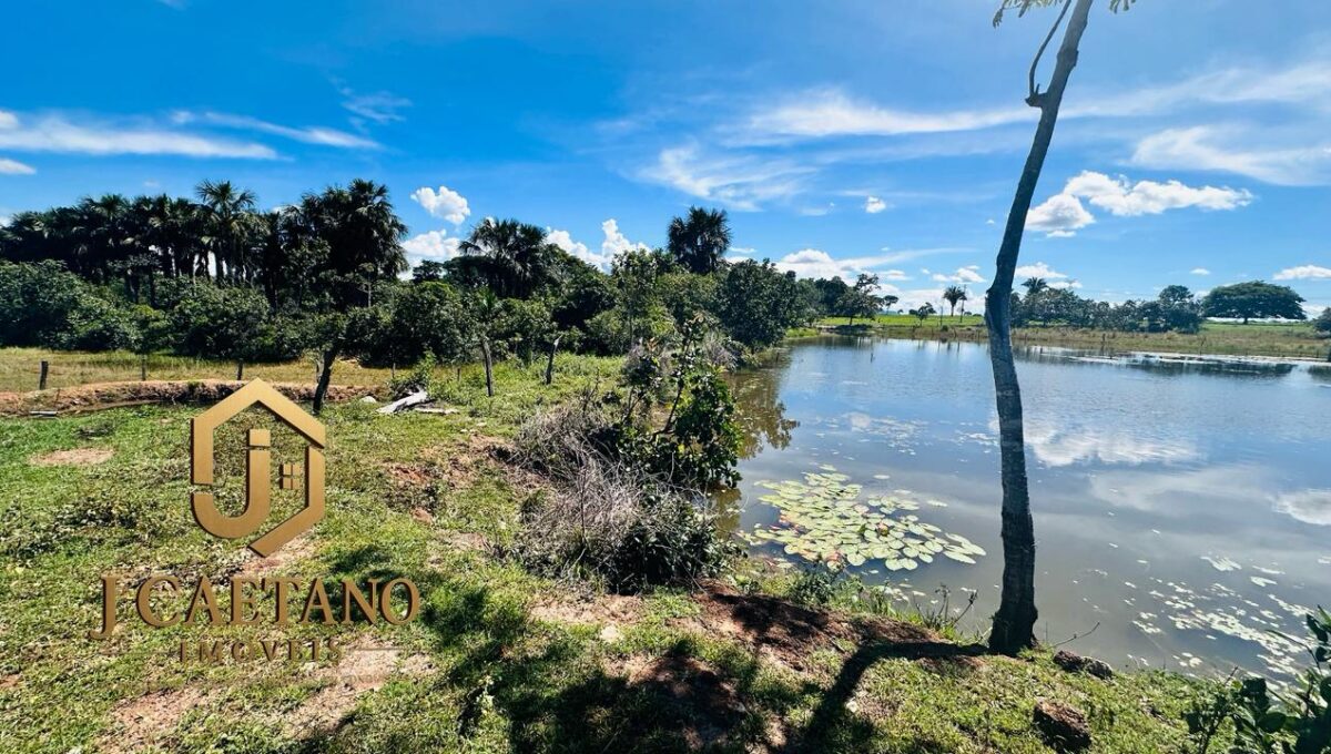 WhatsApp Image 2026-02-09 at 11.34.49 (3)