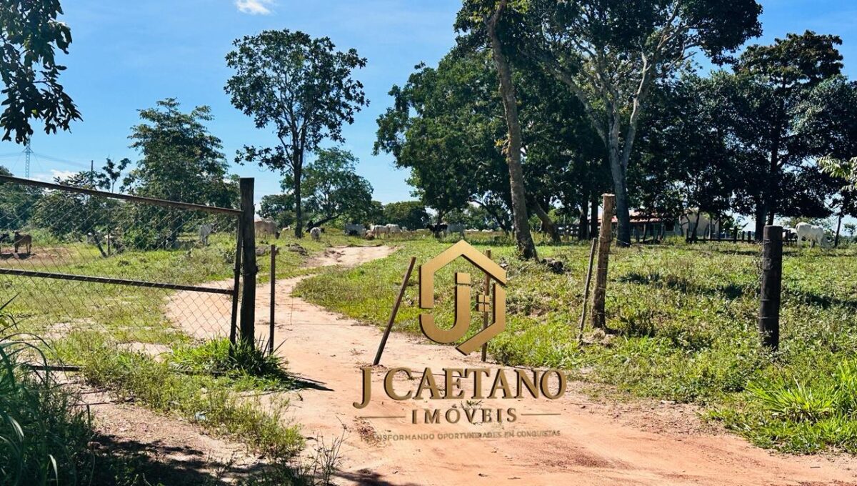 WhatsApp Image 2026-02-09 at 11.34.50 (2)