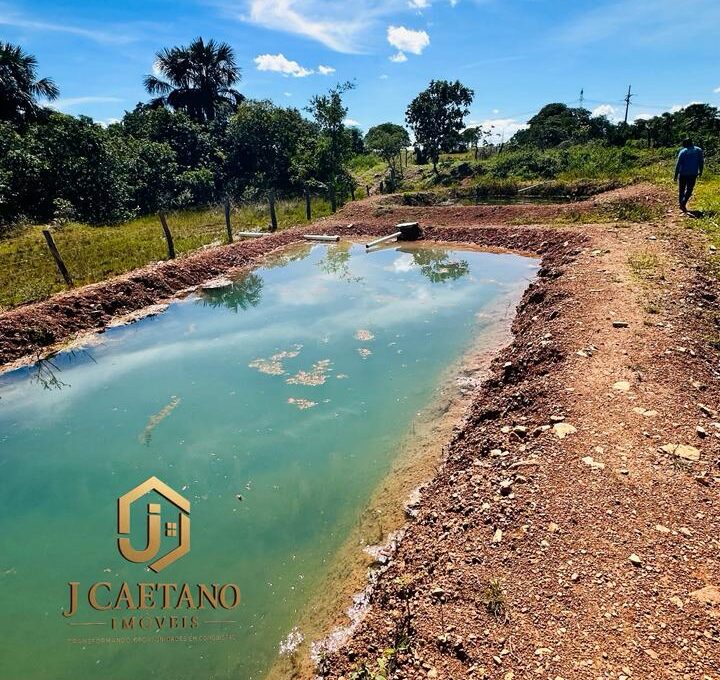 WhatsApp Image 2026-02-09 at 11.34.50