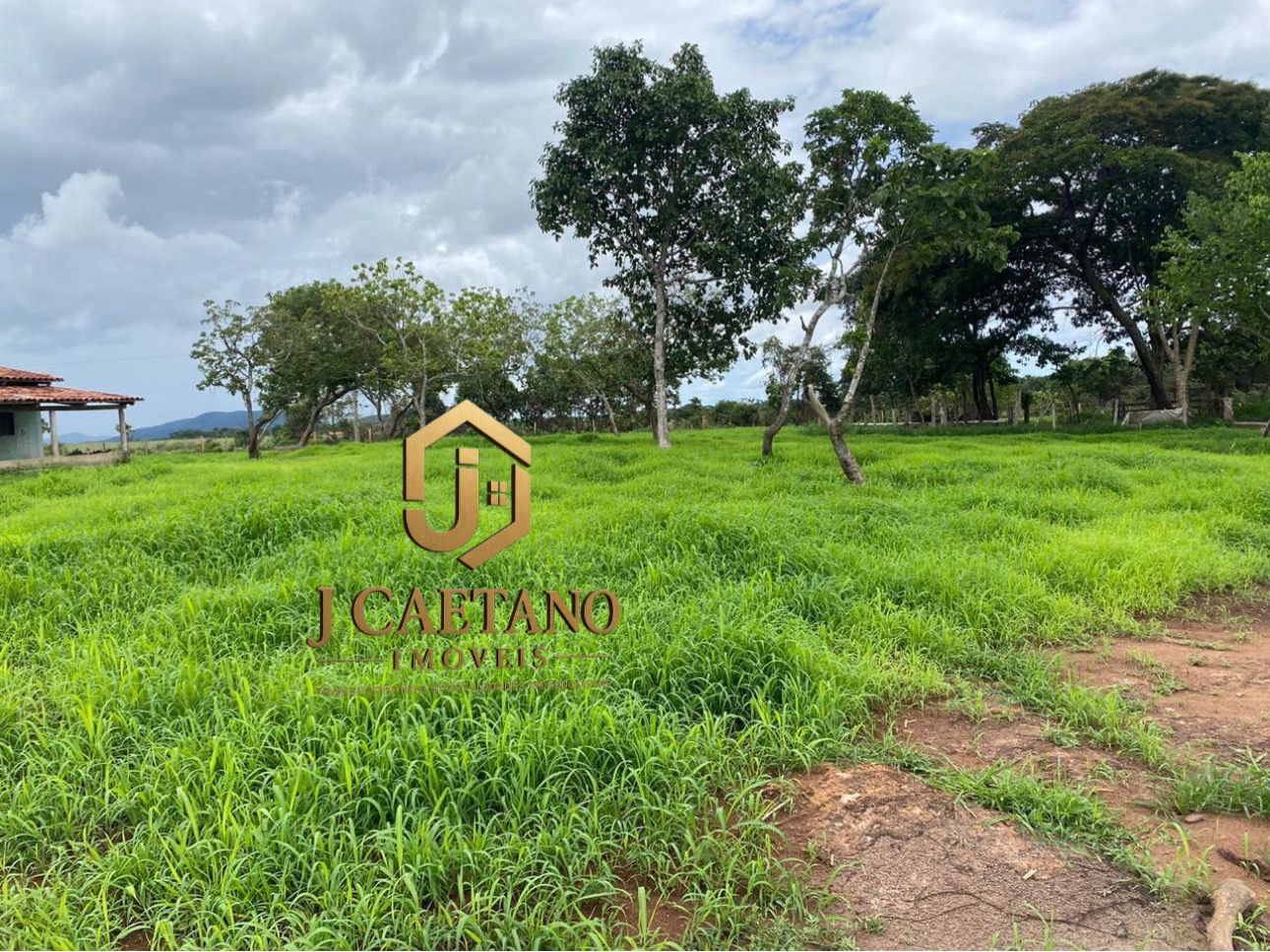 CHÁCARA ESCRITURADA À VENDA — 2 ALQUEIRES A 5 KM DE CAMPINORTE