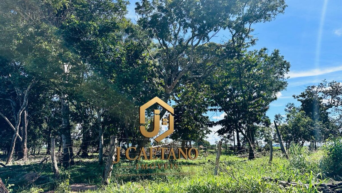 WhatsApp Image 2026-02-09 at 11.34.51