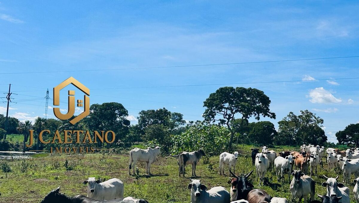 WhatsApp Image 2026-02-09 at 11.34.51 (2)