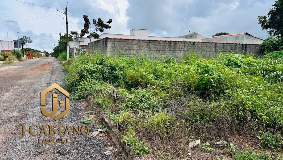 WhatsApp Image 2026-02-09 at 13.55.25