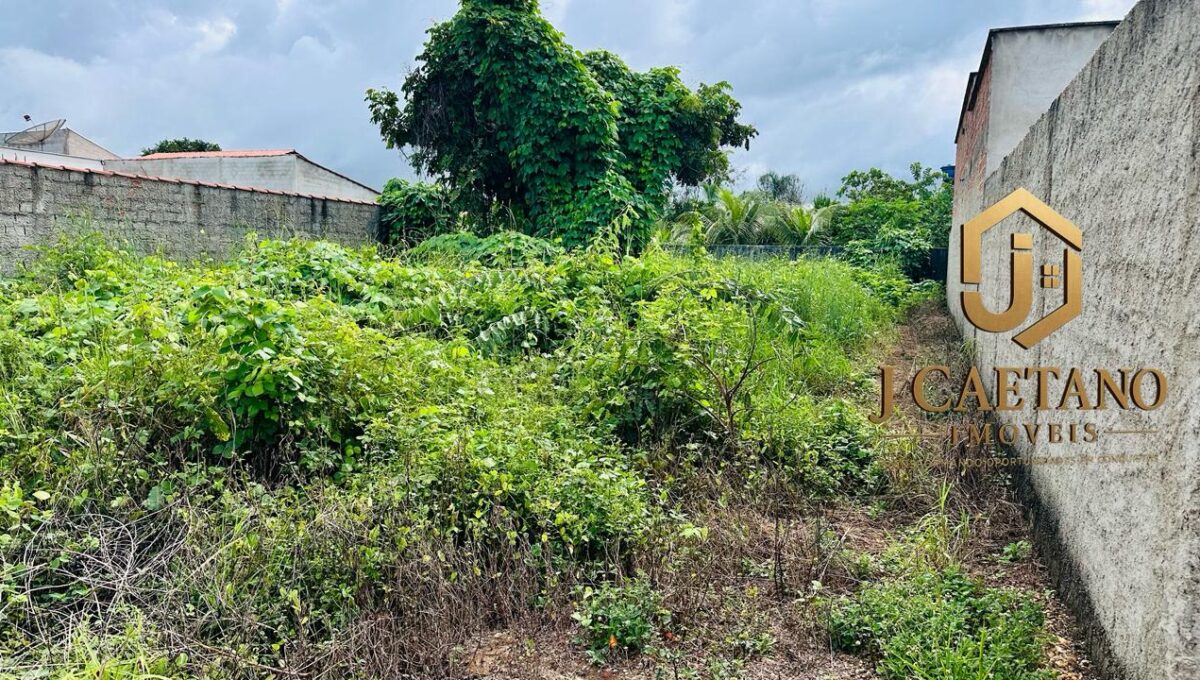 WhatsApp Image 2026-02-09 at 13.55.25 (2)