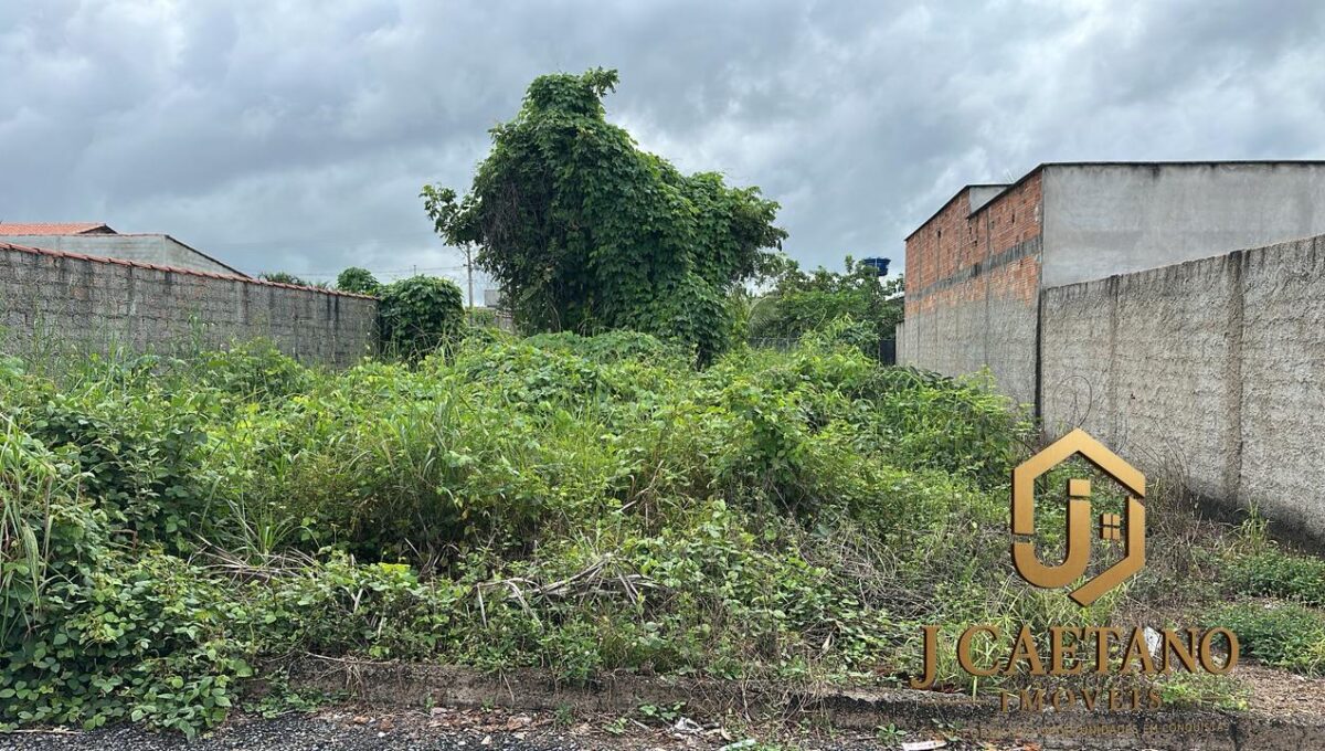 WhatsApp Image 2026-02-09 at 13.55.25 (3)