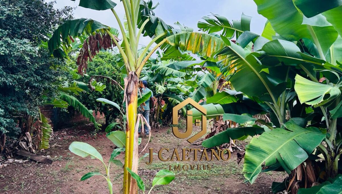 WhatsApp Image 2026-02-11 at 20.10.34 (1)