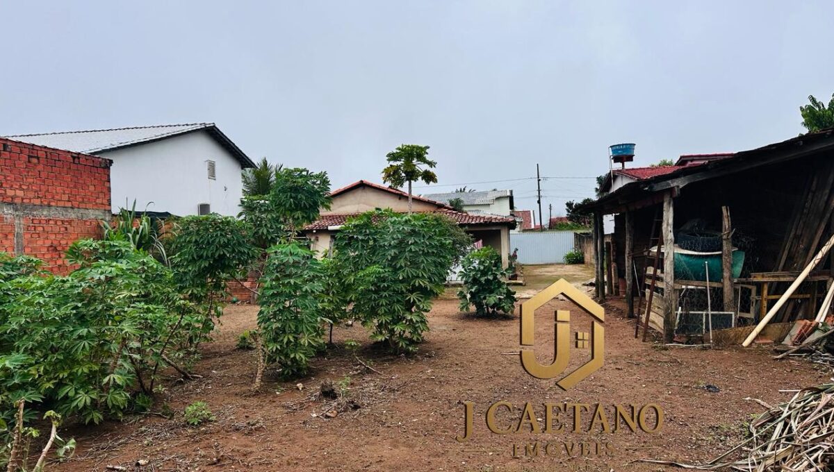 WhatsApp Image 2026-02-11 at 20.10.35