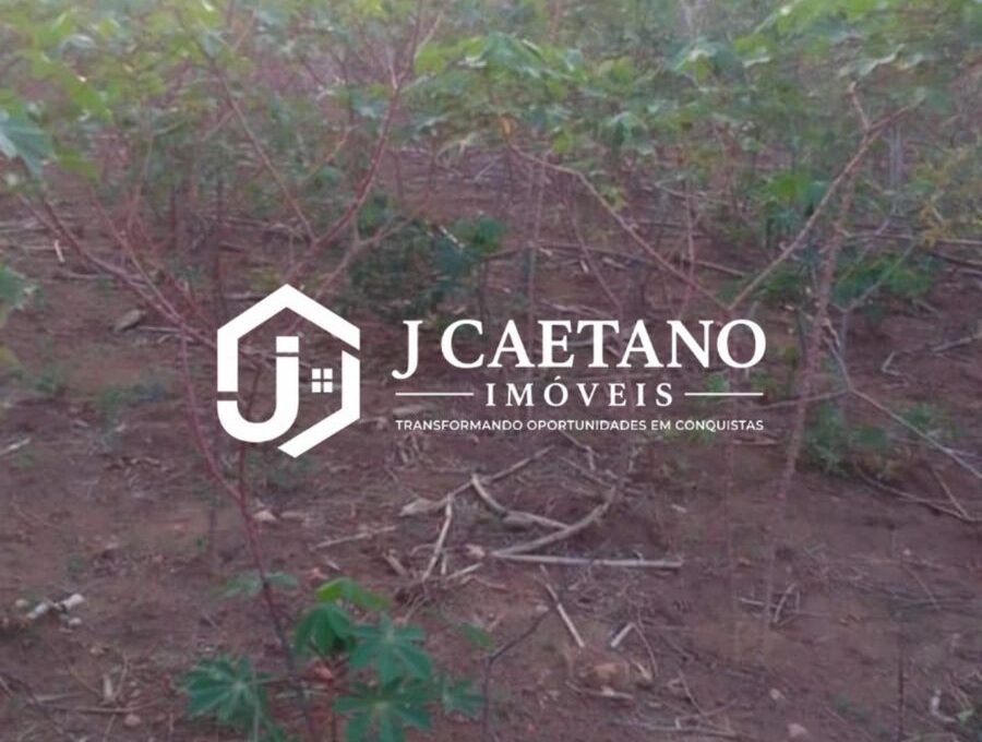 WhatsApp Image 2026-02-14 at 10.58.47