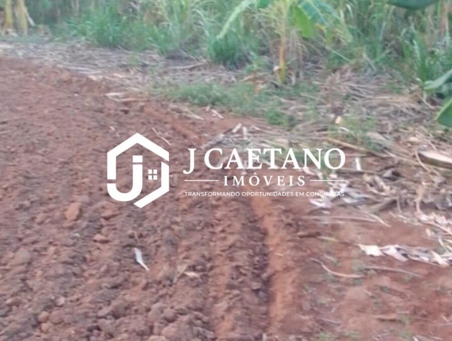 WhatsApp Image 2026-02-14 at 10.58.50 (1)