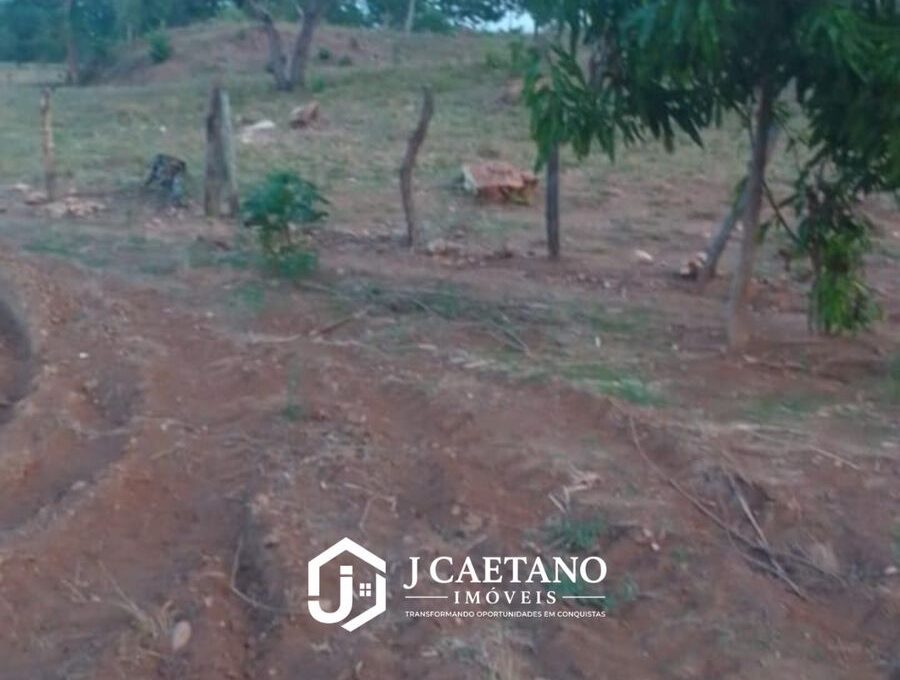 WhatsApp Image 2026-02-14 at 10.58.50