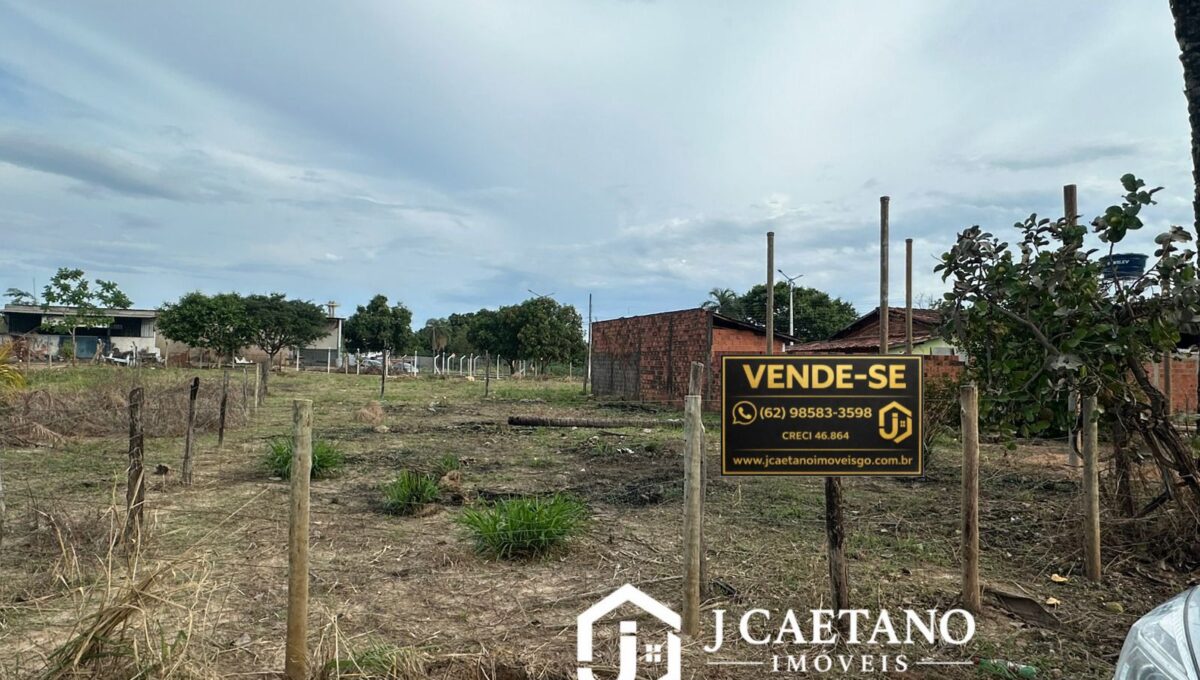 WhatsApp Image 2026-02-15 at 18.20.02 (2)