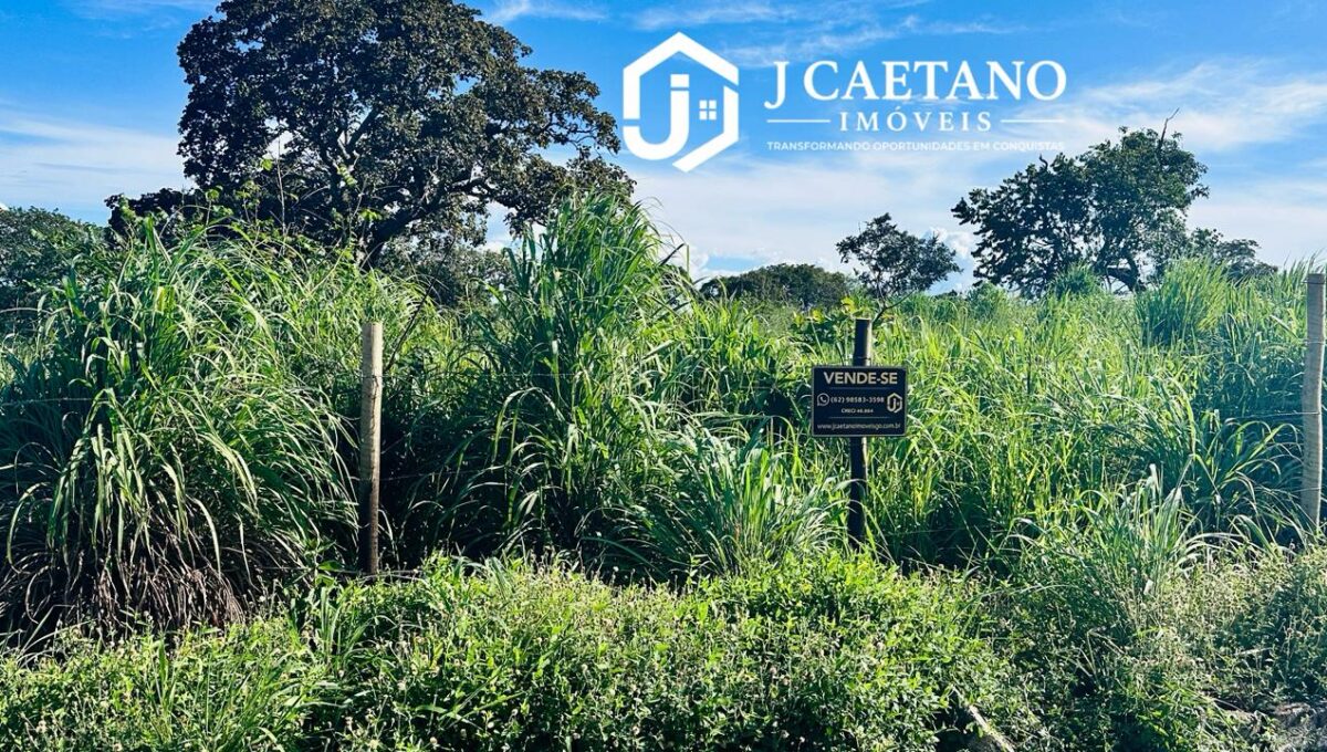 WhatsApp Image 2026-02-16 at 21.36.17