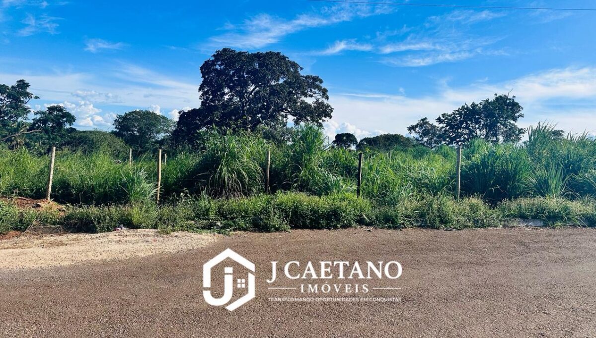 WhatsApp Image 2026-02-16 at 21.36.54