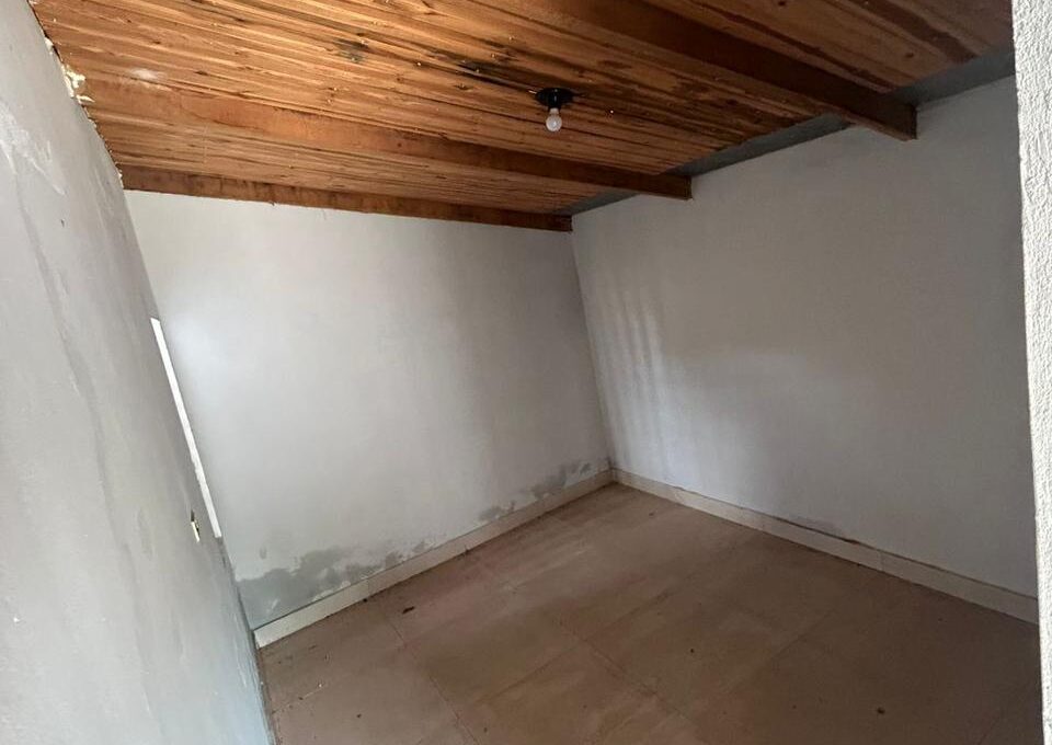 WhatsApp Image 2026-02-17 at 11.55.25