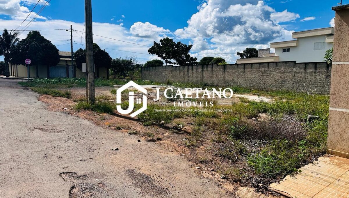 WhatsApp Image 2026-02-17 at 16.23.00