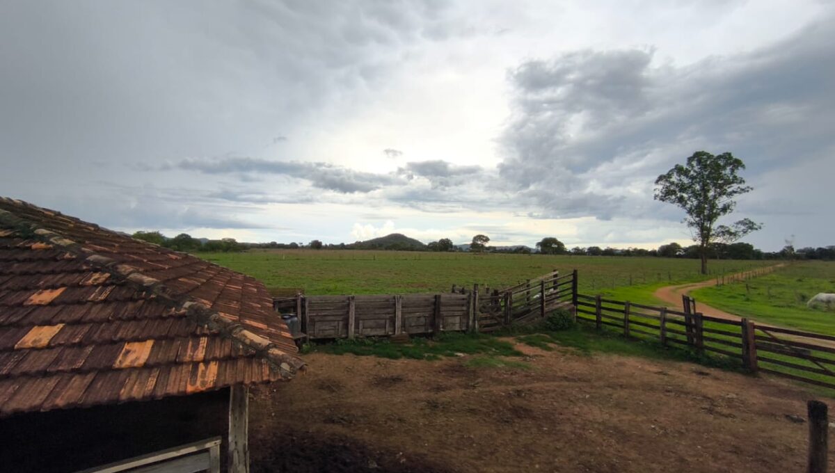 WhatsApp Image 2026-02-20 at 22.26.21 (2)