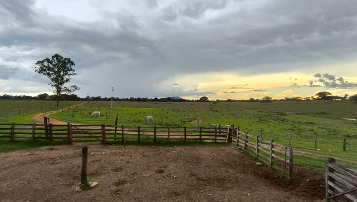 WhatsApp Image 2026-02-20 at 22.26.22 (1)