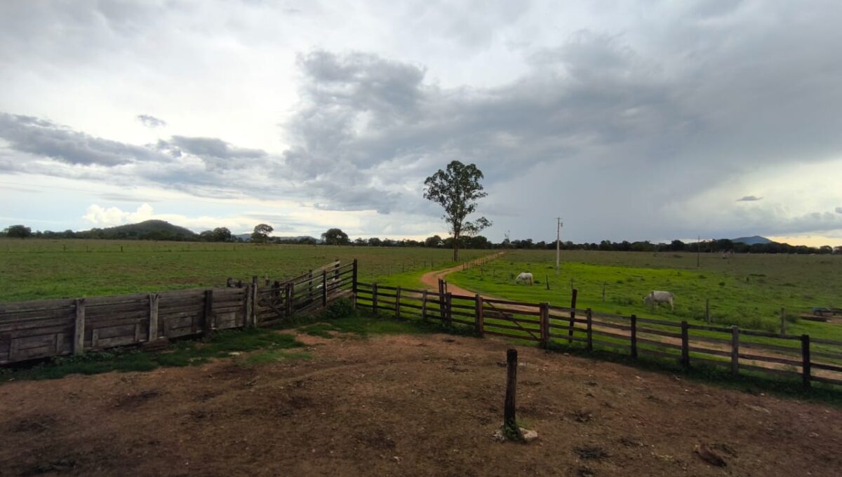 WhatsApp Image 2026-02-20 at 22.26.22