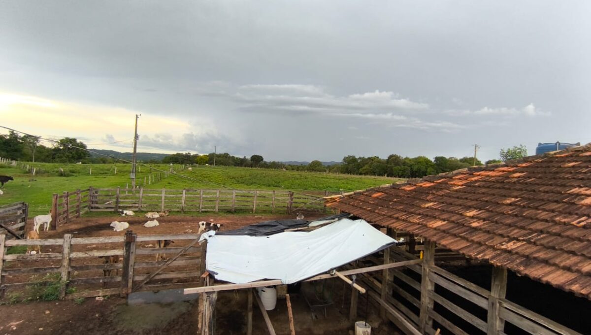 WhatsApp Image 2026-02-20 at 22.26.22 (3)