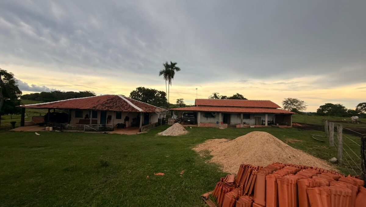 WhatsApp Image 2026-02-20 at 22.26.23 (1)