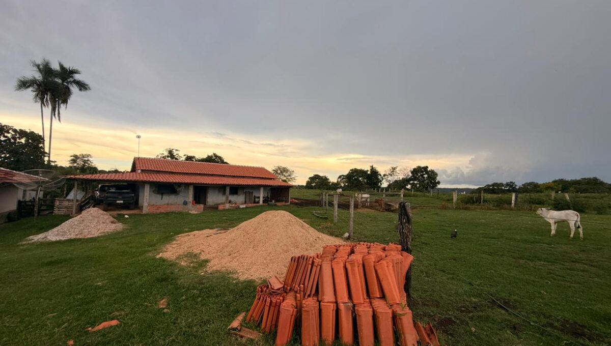 WhatsApp Image 2026-02-20 at 22.26.23