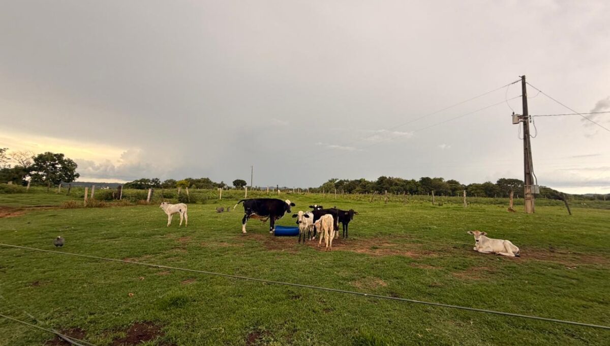 WhatsApp Image 2026-02-20 at 22.26.23 (2)