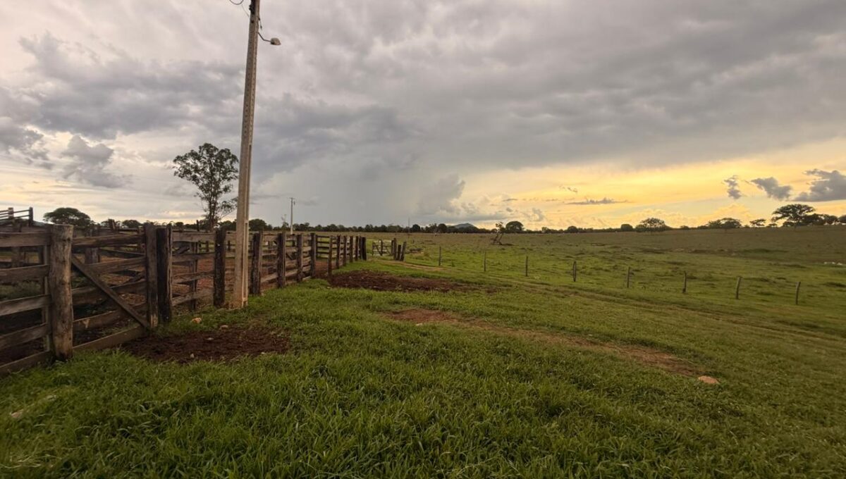 WhatsApp Image 2026-02-20 at 22.26.23 (3)