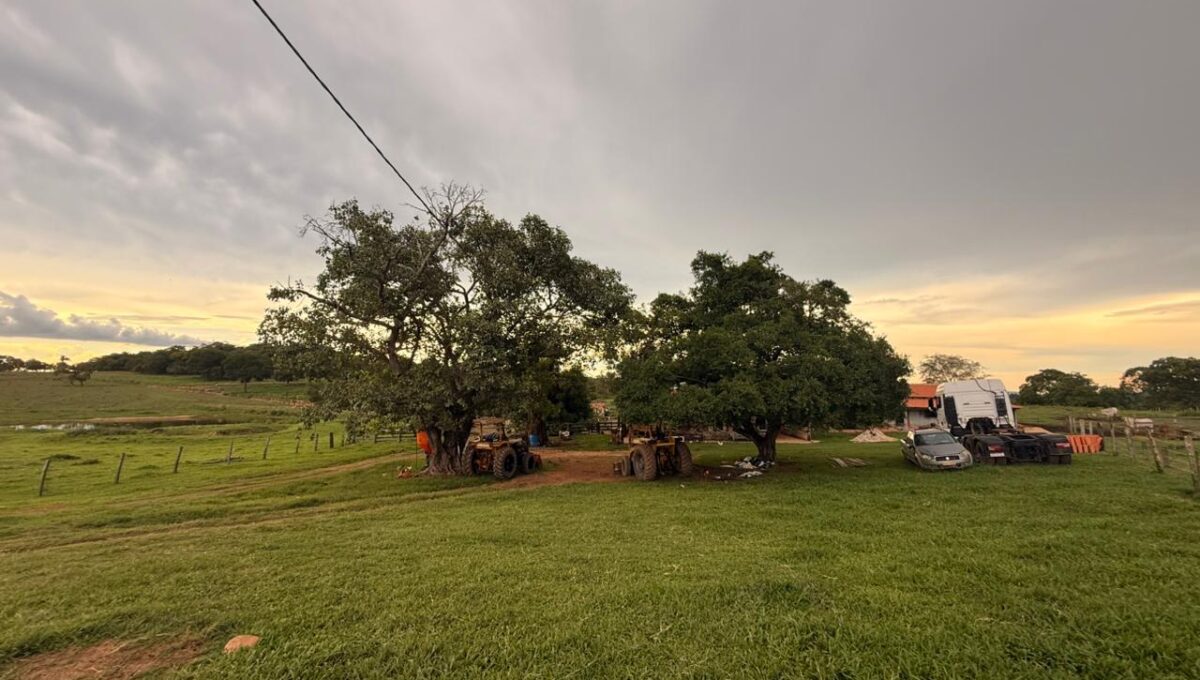 WhatsApp Image 2026-02-20 at 22.26.23 (4)