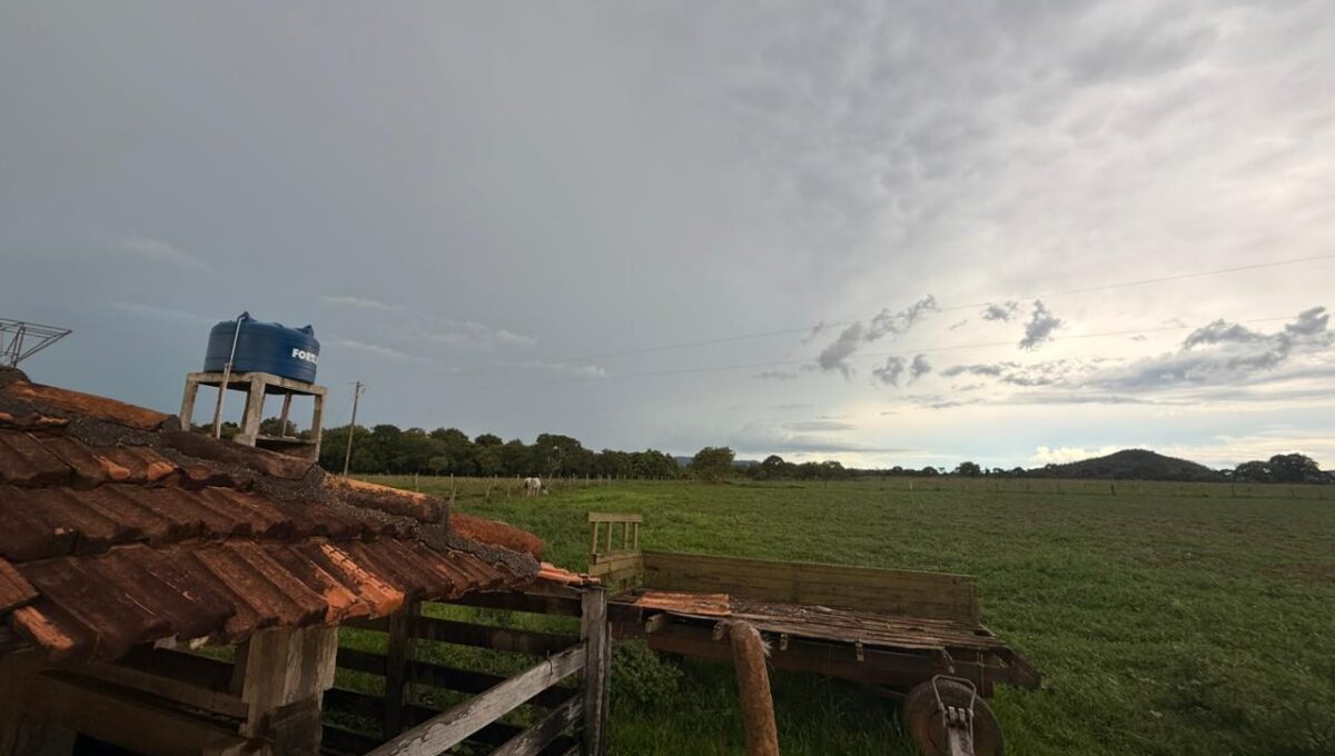 WhatsApp Image 2026-02-20 at 22.26.24