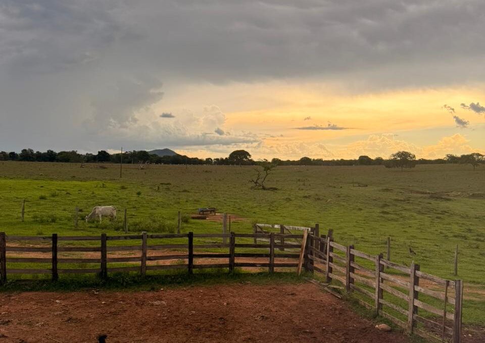 WhatsApp Image 2026-02-20 at 22.26.25 (1)