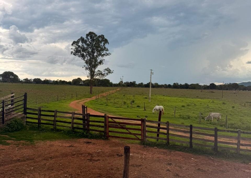 WhatsApp Image 2026-02-20 at 22.26.25