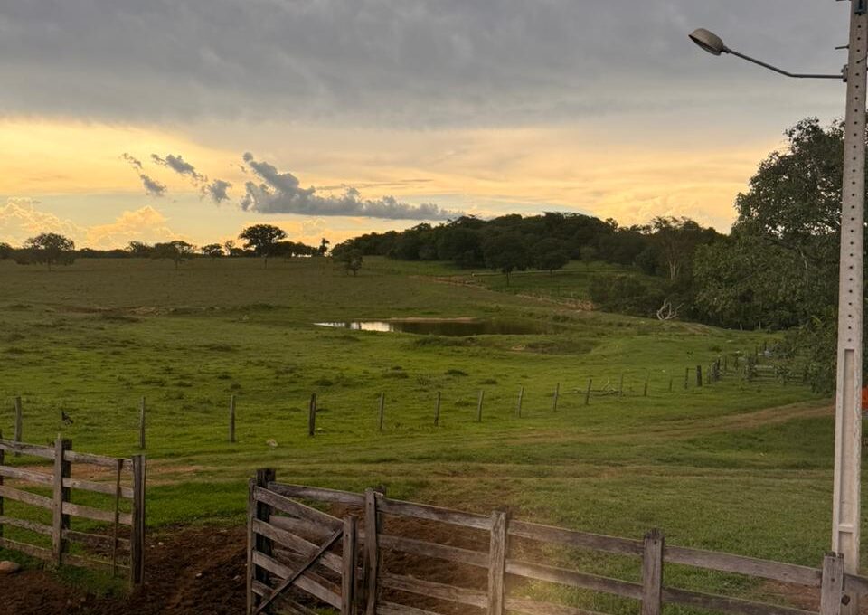 WhatsApp Image 2026-02-20 at 22.26.26